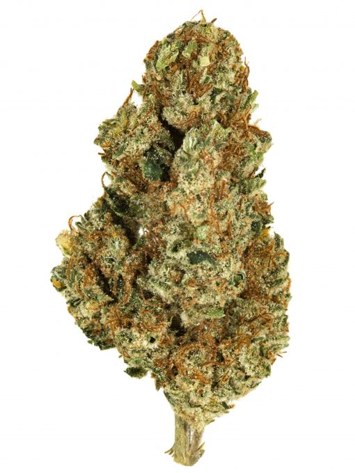 Skunk #1 Hybrid