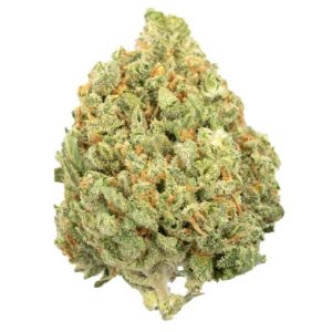 Violator Kush Hybrid